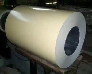 PPGL Steel Coil10
