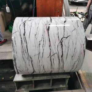 PPGL Steel Coil6