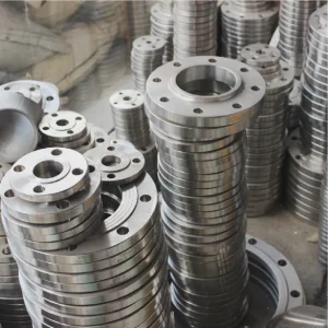 316 Stainless Steel Flange